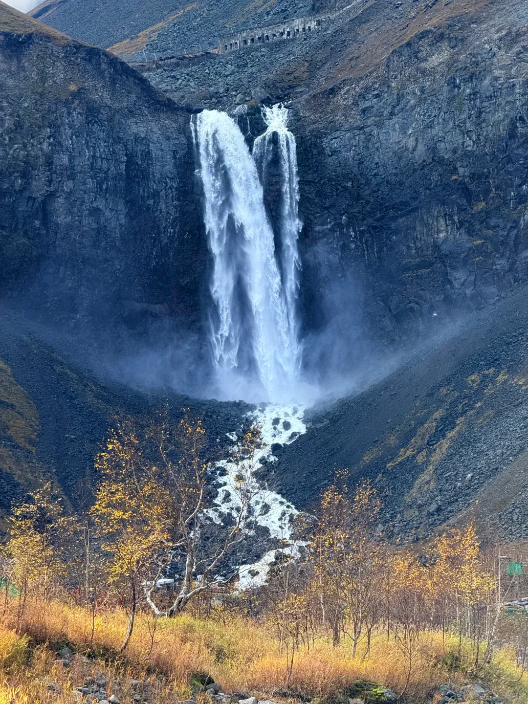 e631b3fd0236c1348fb715b05020368c-sz_3387298