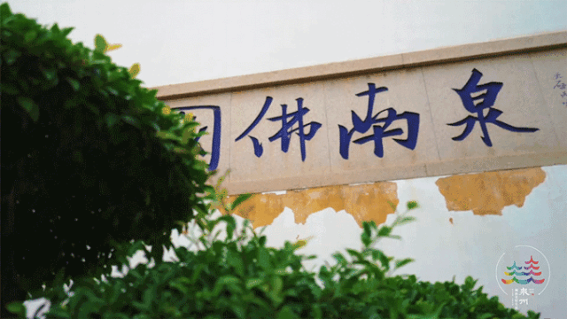 e63c17adf8bcdb82c5809dd8ce8b2aa4-sz_2396253-1