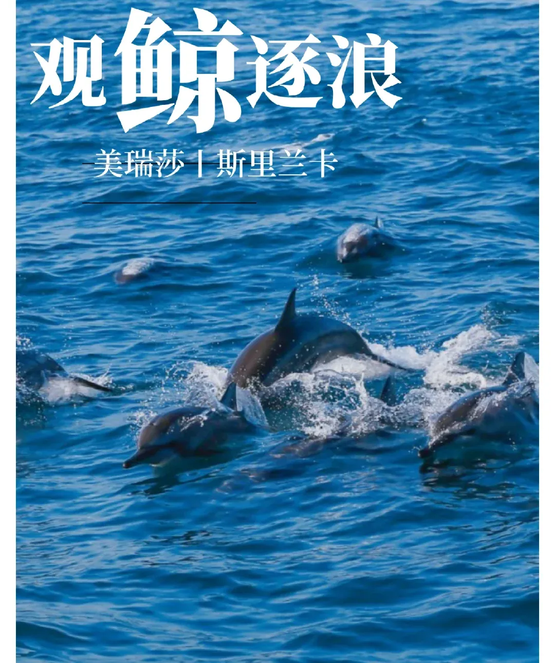 e65decef84d9500233f077828978fbc6-sz_2099605