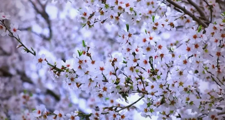 e66e00f73de32665161e46d02d510555-sz_115616