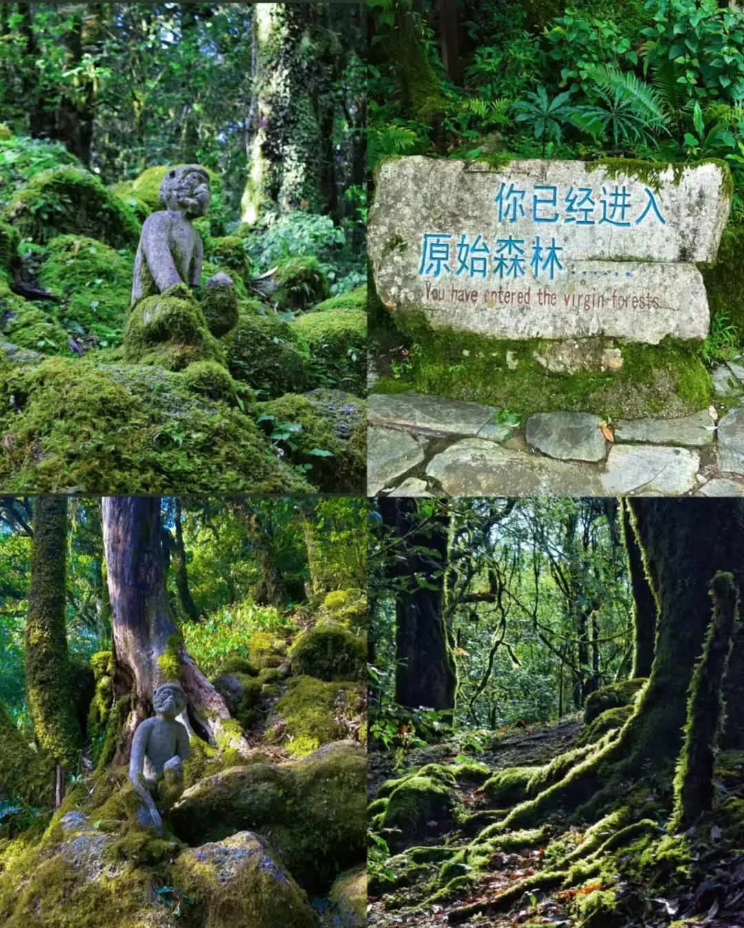 e6960857a49b8b00751dcb330ad52d45-sz_1744213