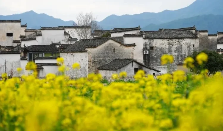 e6d1f361b73c83144cb22c7e085e08d7-sz_101880