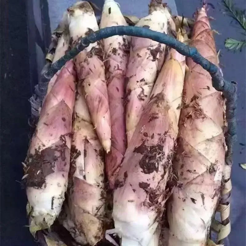 e6d41a578f69f6ad8eb5009ca678ea1e-sz_833879