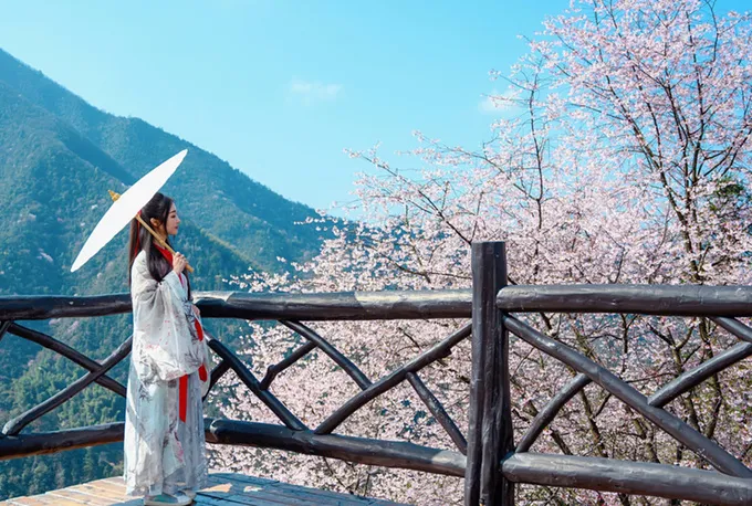 e74b8836a52697d1b054d2ad4d340e75-sz_245714-1