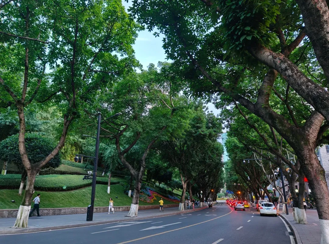 e7532c965054b2863103ac21007f8145-sz_3271171