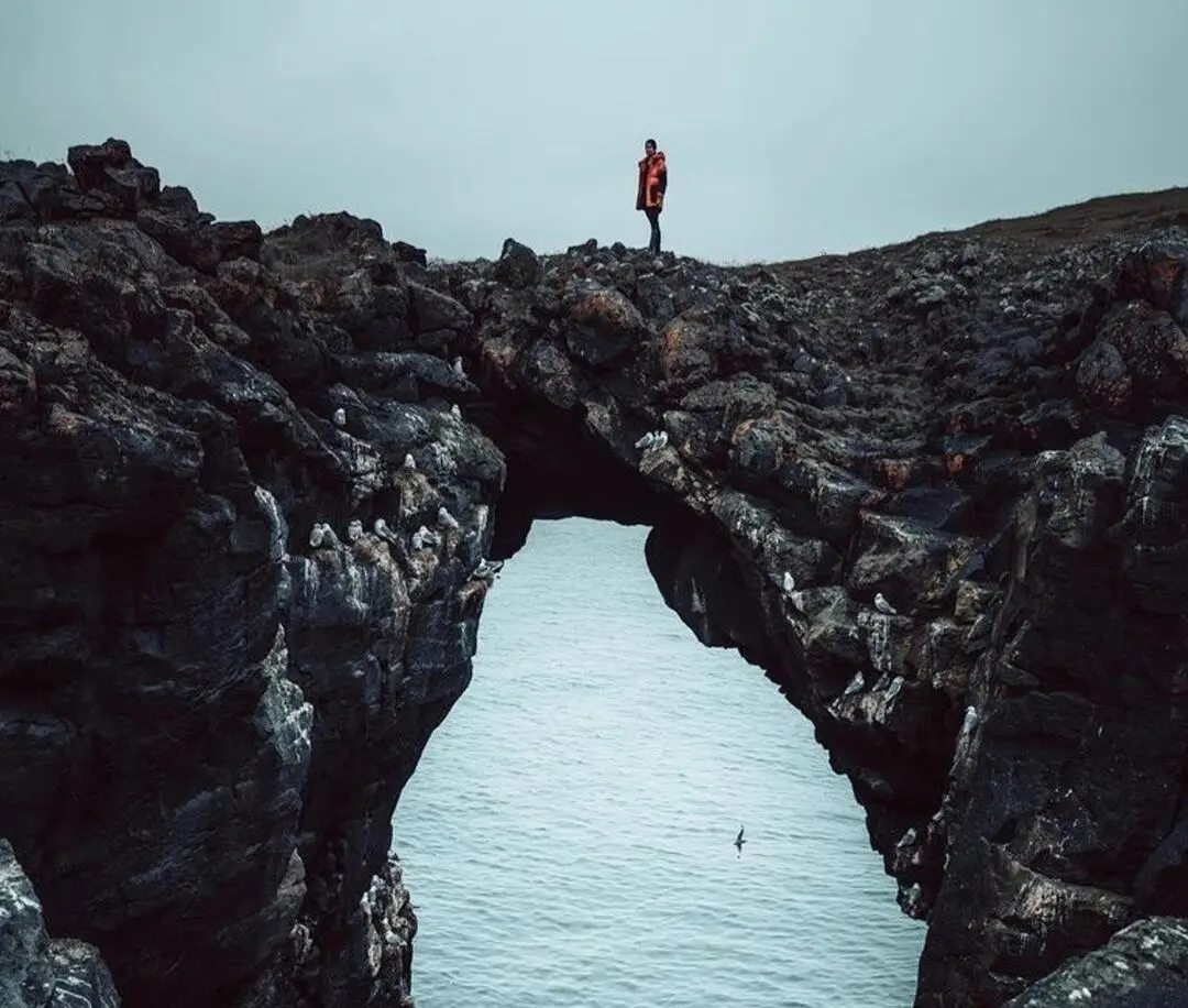 e7857442521d146066df1f9f9edf6a0e-sz_219994