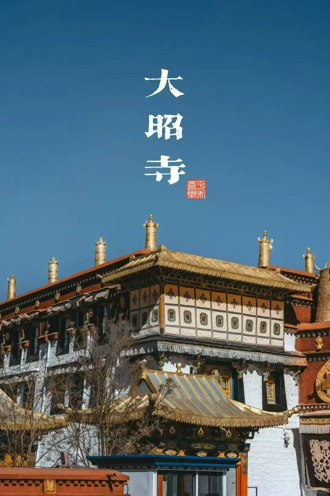 e7c7d9f4b350785d8969c4ea0cc7face-sz_1775525