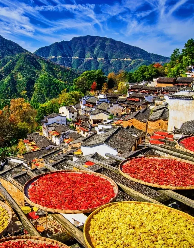 e85fc4d459ea99500504a868f68d5795-sz_1677179 e85fc4d459ea99500504a868f68d5795-sz_1677179