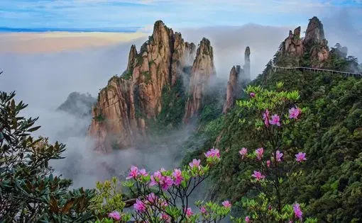 e87e5ffd485207268146afb6bb5b2c27-sz_38946