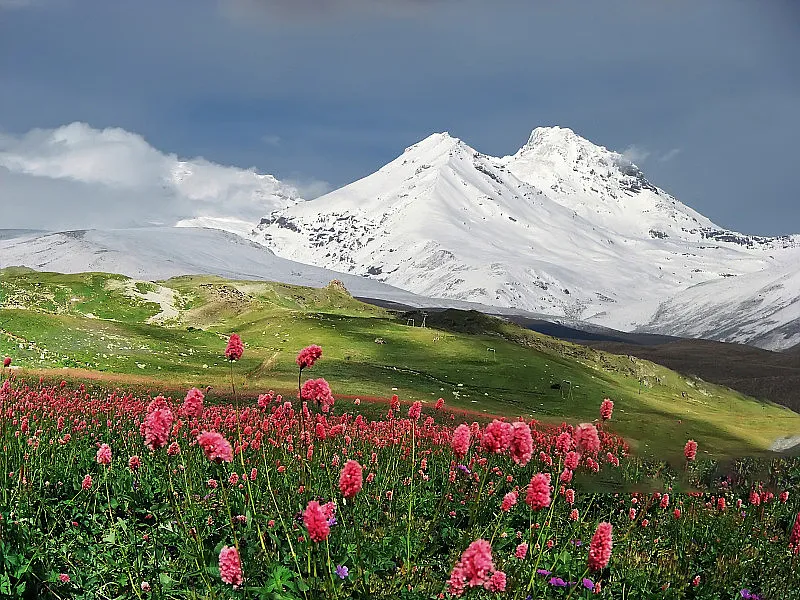 e8899bf7291d03eb82872e8ed9c99159-sz_444362