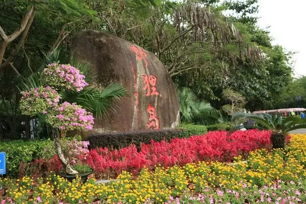 e893378db91eb954873b4e0b54c20361-sz_81619-1