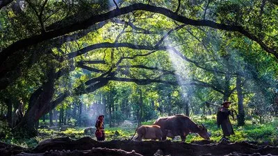 e8acce92e40a7237bd71ae7c5f9a7b4e-sz_45856