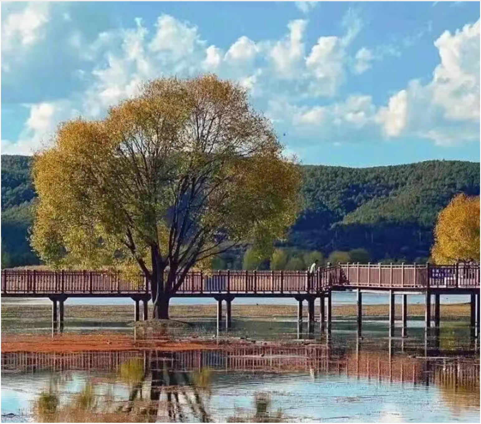 e8c196e888df7830a6c85195191056f9