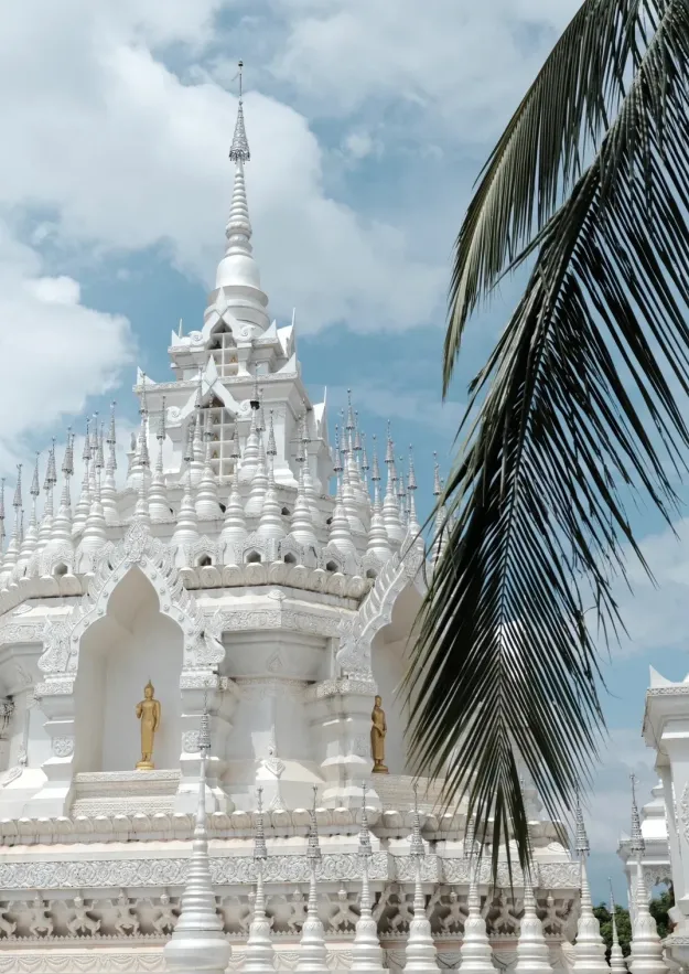 e8d57764d9e84cdd74afa4893ad83c86-sz_1291550