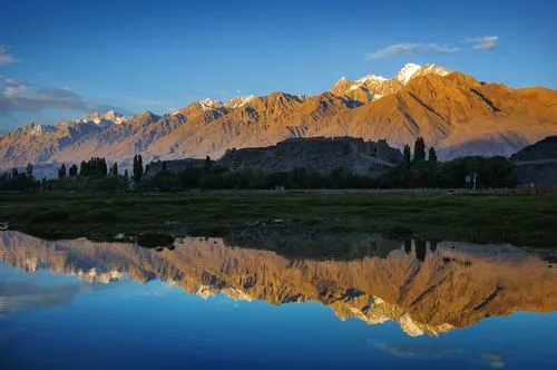 e8e35efb0df1a16ccb6a82ed7d0806d8-sz_27990