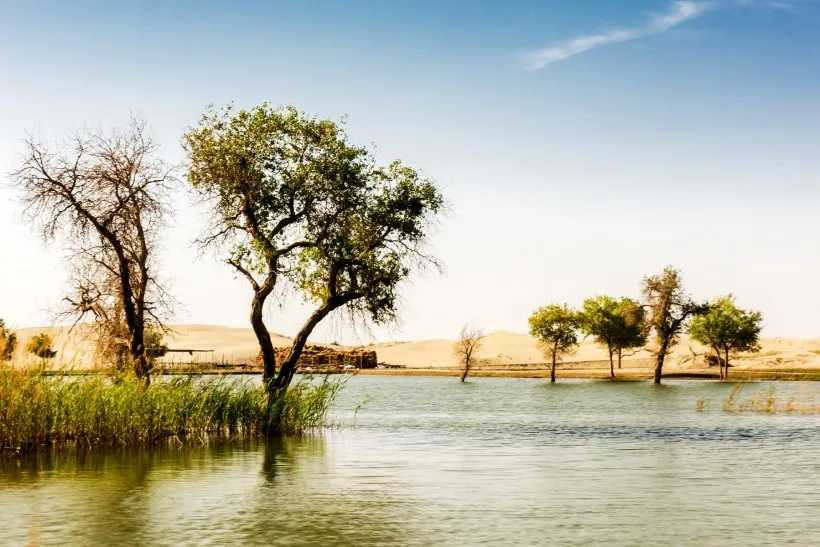 e8e94b547c7a1150d7414f0601a543c8-sz_131817