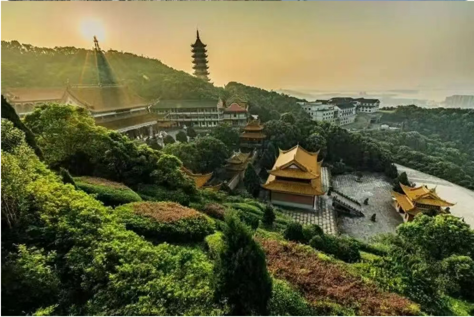 e927776e0dafbbcf2e8c3d403d76c245