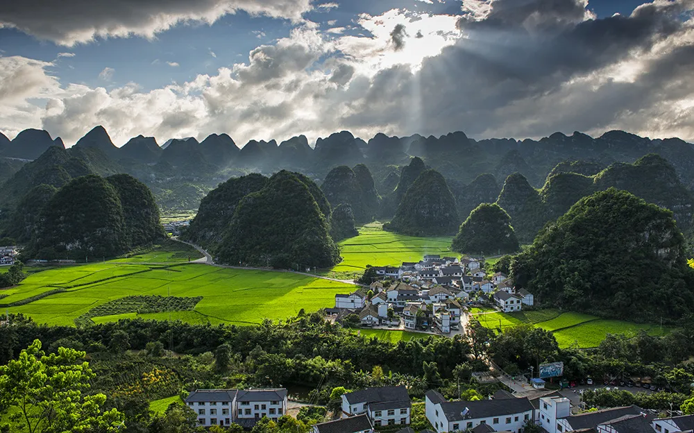 e93ba01d81b4624dfc9ae59e67ed3194-sz_431754