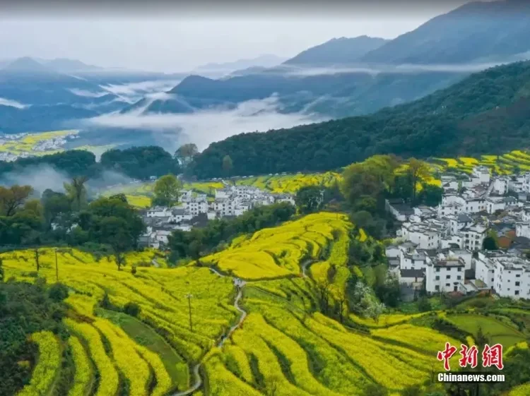 e93bf0241fdca9f02e762e03dd2e5082-sz_127108-2