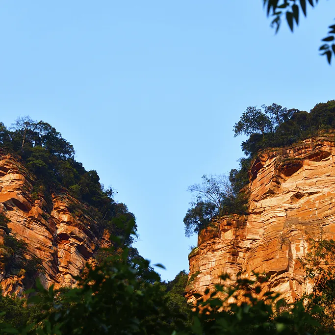 e9470a4d129fe9ea75ea5219123f0ce1-sz_558684