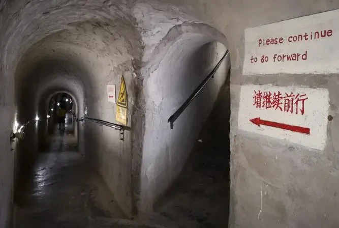 e953838a94b146d00207c7969df7c3bd-sz_39269