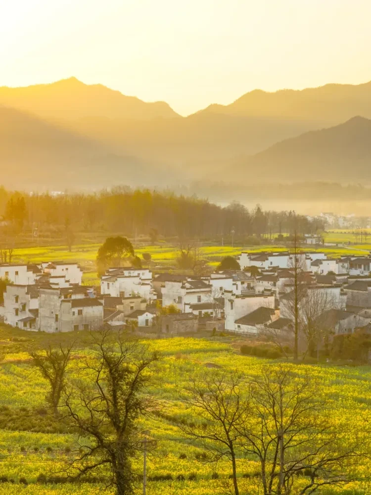 e96dd8e2ba54b8f3bce4dd256e2b468d-sz_2502574