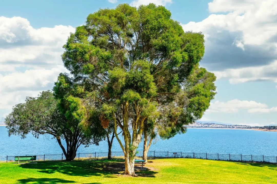 e97a2afbded25f463be880ed4d4e3fa7-sz_699657