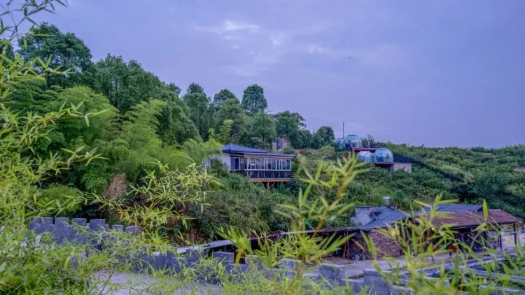 过新年杀年猪，送年糕！嵊州沉浸式度假 4日【纯玩499●赠送3早6正餐●餐餐12菜1汤●免费棋牌●免费唱歌】嵊州唐溪草庐民宿连住3晚！