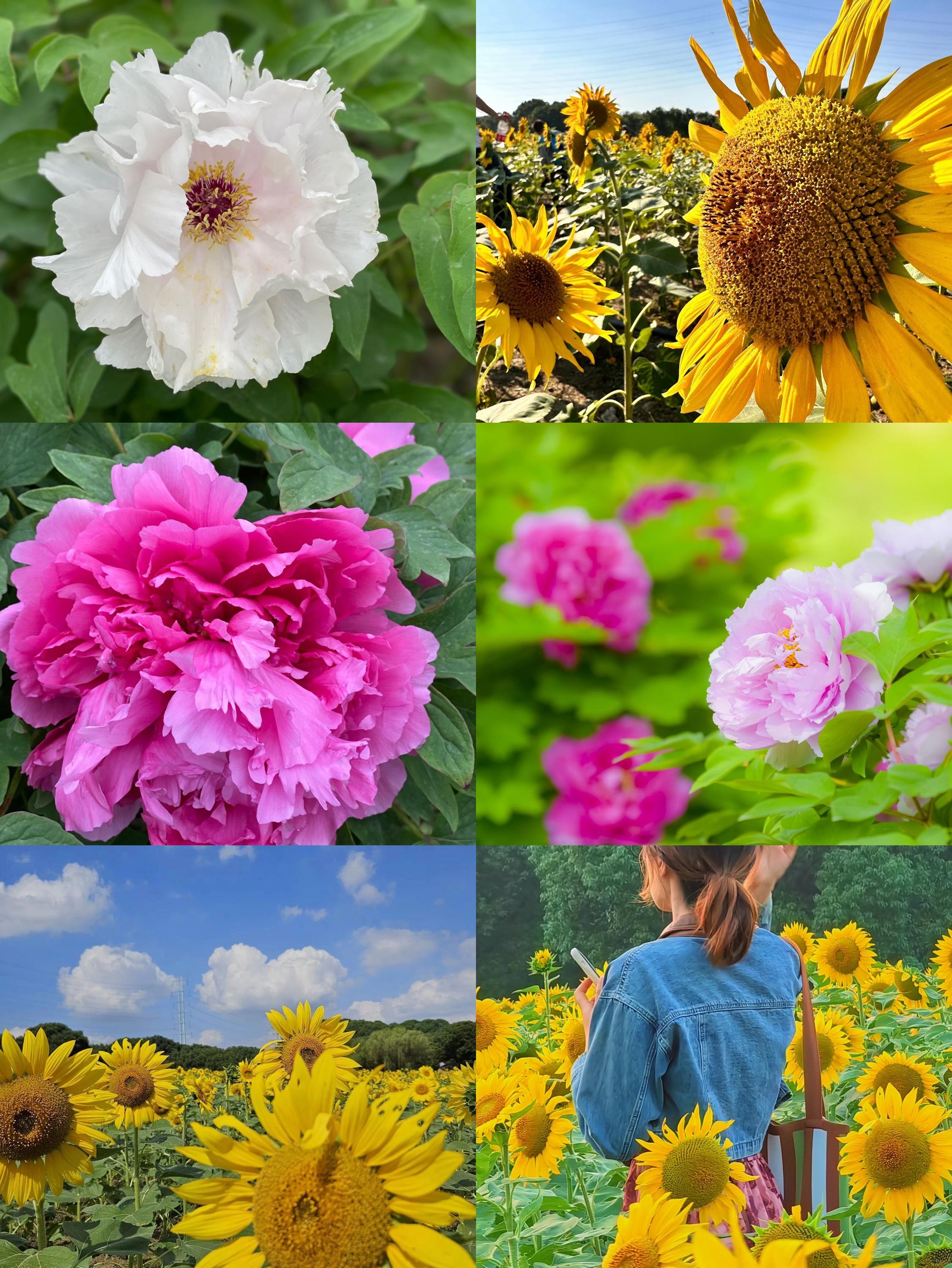 e99372be362ca00e27518500c87446ff