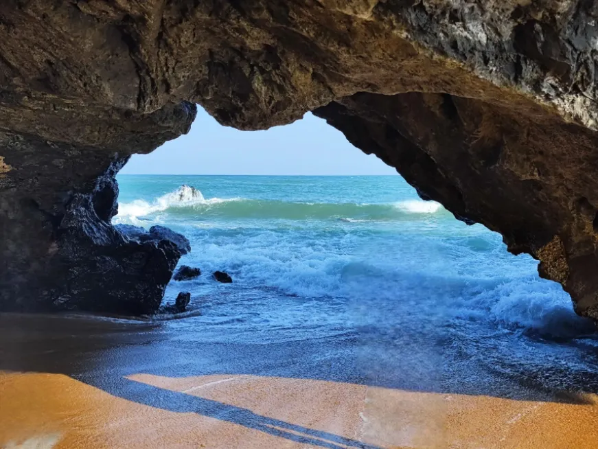 e9aa8a0341764180edc1716072261200-sz_906177