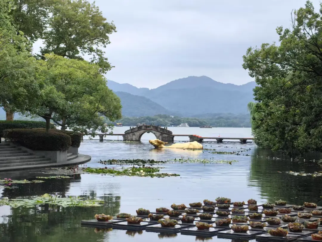 e9d258cfe7508f89ee8869d206c31785-sz_356910