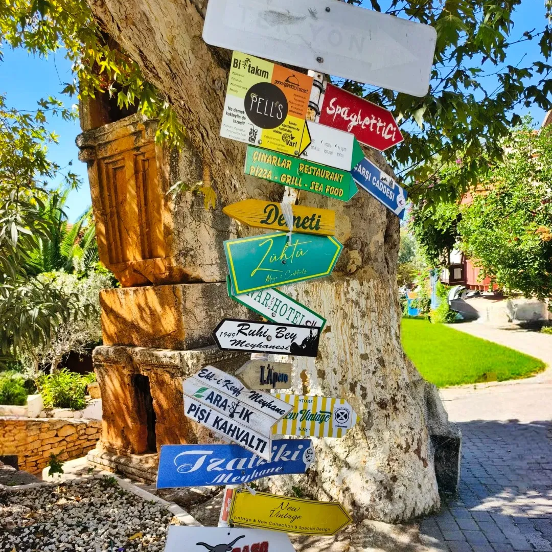 e9e368a8f56cdaff4fedd74d49977407-sz_771996-1