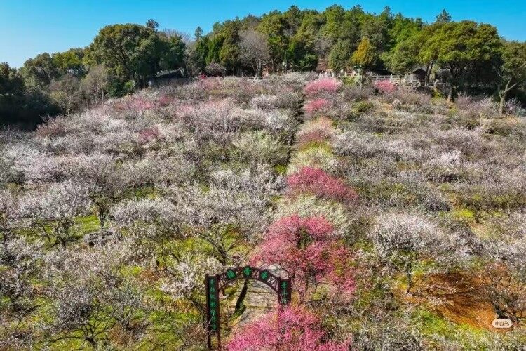 eACLrobno_jt_NEOOzpjRGS7UzxTuExa