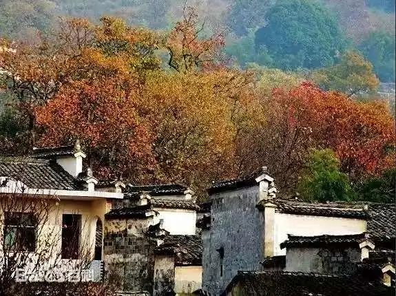 ea45f2681c68634a934f1a194335cce1-sz_68720