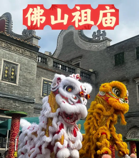 2月14日 仅此一班！【广东过大年】5099元 双飞/双动5日游~全程住五钻住宿~酒店派利是！赤坎除夕团圆夜~吃年夜宴！体验新春市集！观看醒狮表演！