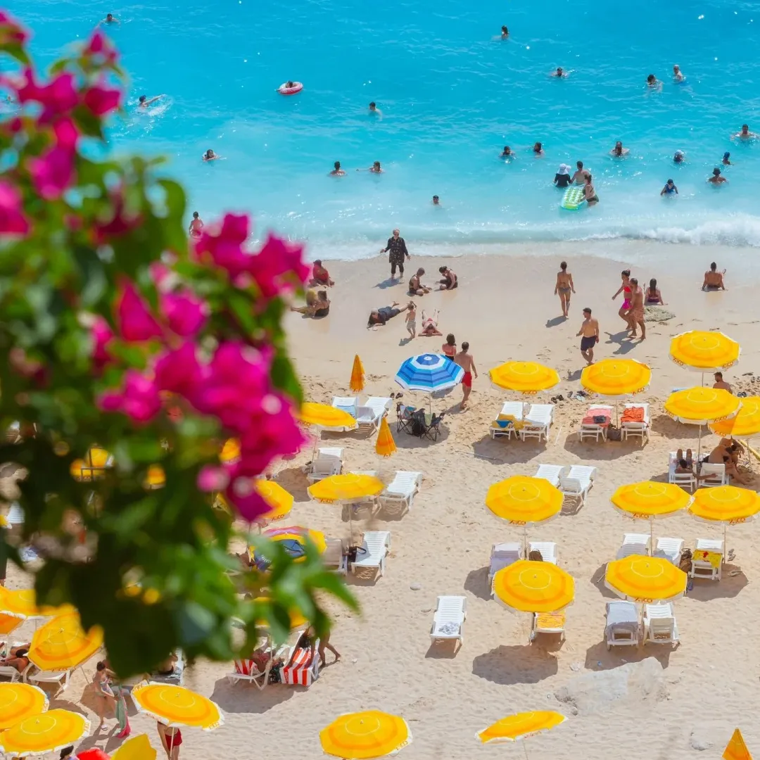 ea7cfaa984a84b86faeffc826f3840e7-sz_386647