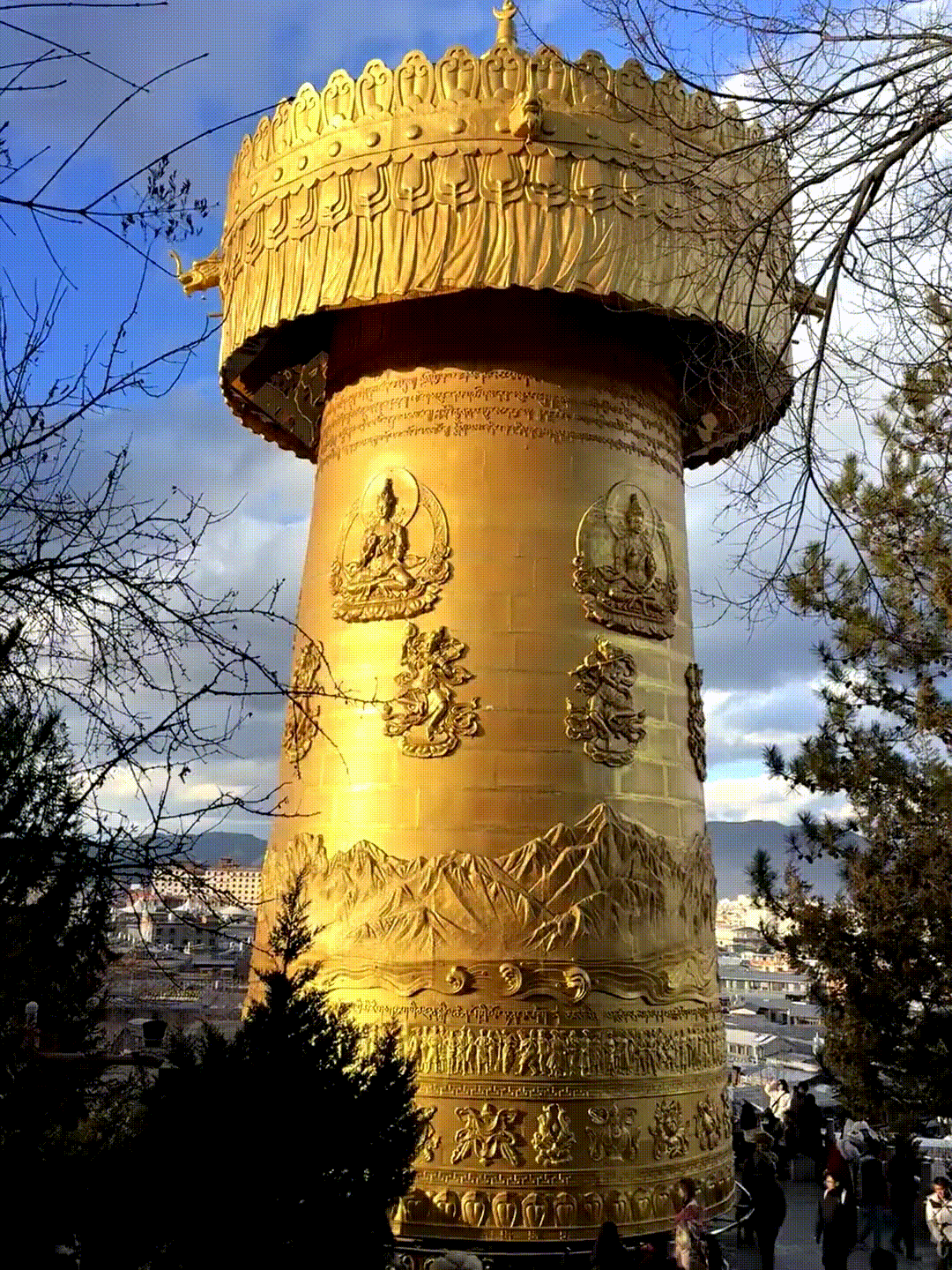 ea903e38bd5b1f60db5f3fdfeb7ebaed-sz_9800939