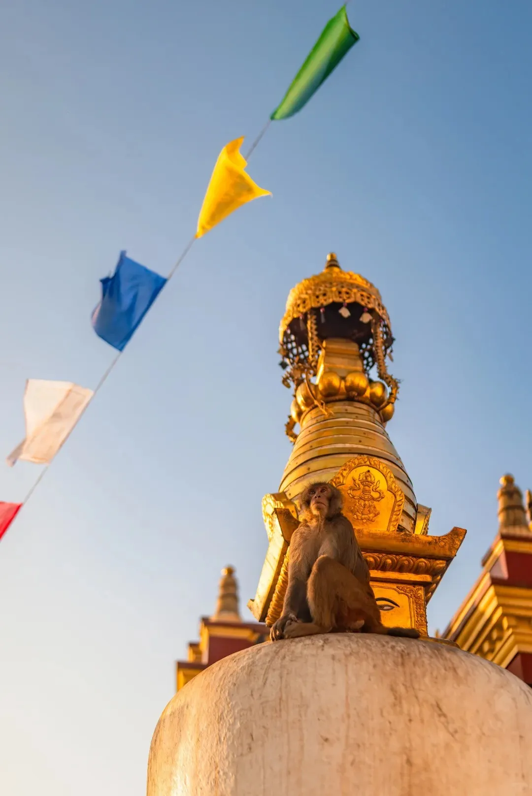 ea90cc93b6042d4c8e5db86ea20e9e67-sz_181485