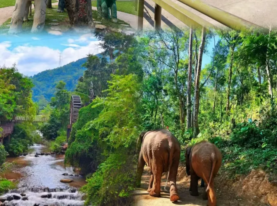 eaa3d09b7f5019c7fc32d04390d9d181-sz_2831356