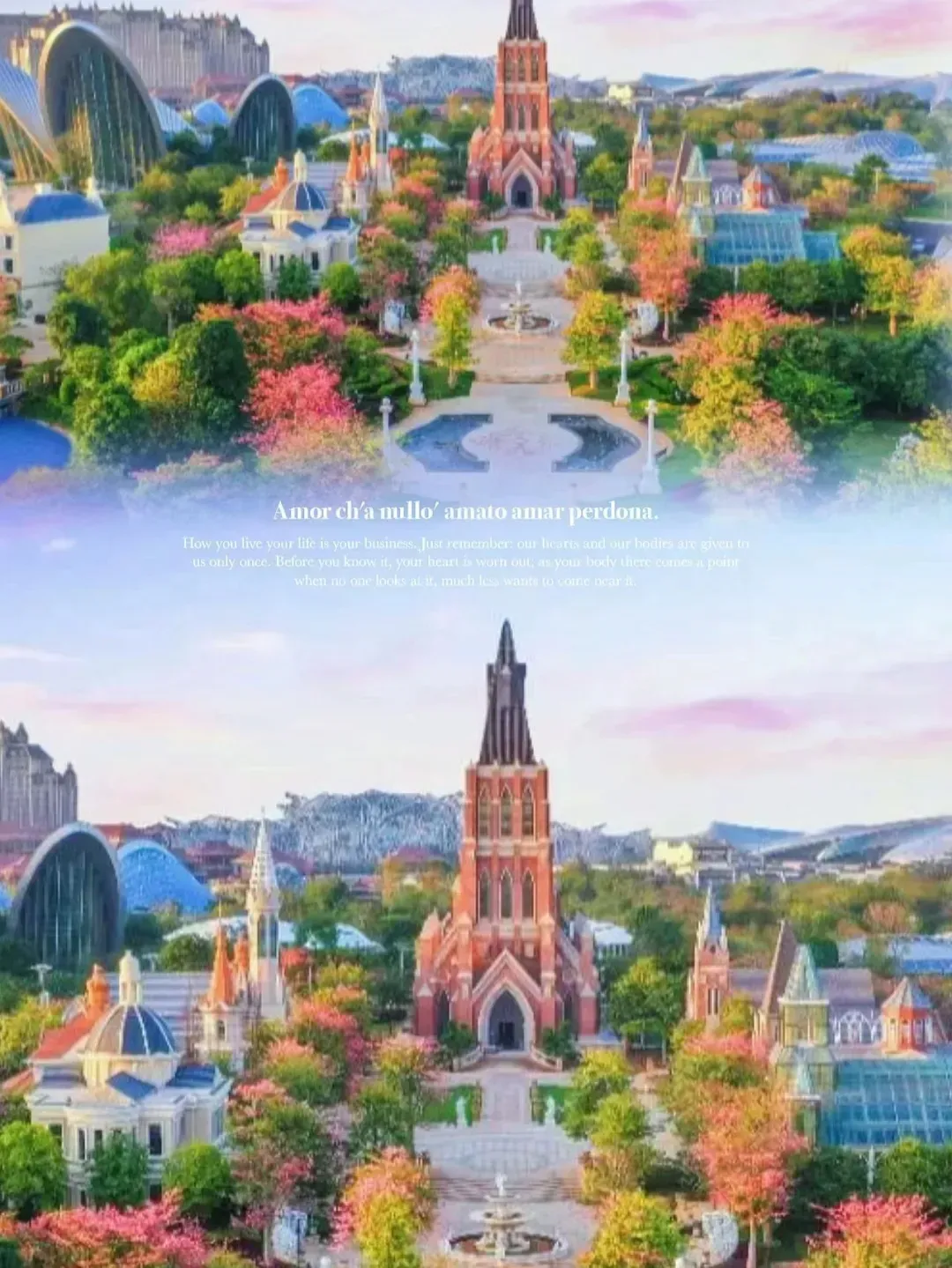 eac1bb2f0d7630b722005d9211a99049-sz_1807538