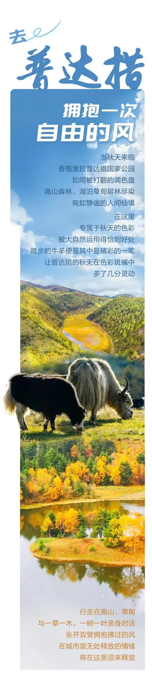 eacc83cf34db178125a2d2d76a45ae45-sz_1838250