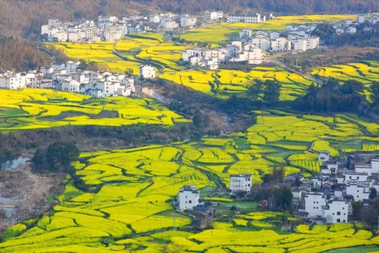 eada79f5fd79c9a1a1976c7f67a2bd50-sz_176627