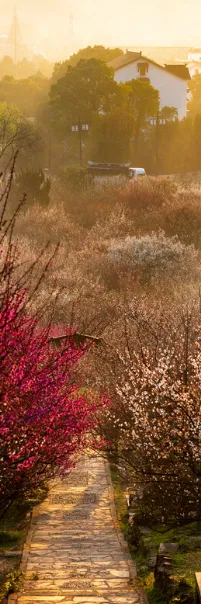 eaf8ced24aa0ff959a3efa0ecad8356e-sz_1194475-1