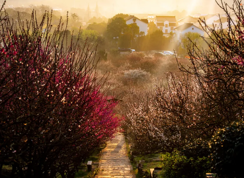 eaf8ced24aa0ff959a3efa0ecad8356e-sz_1194475