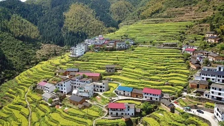 eb052e28ea39a0b2d6b6a8fcd057ad02-sz_212331