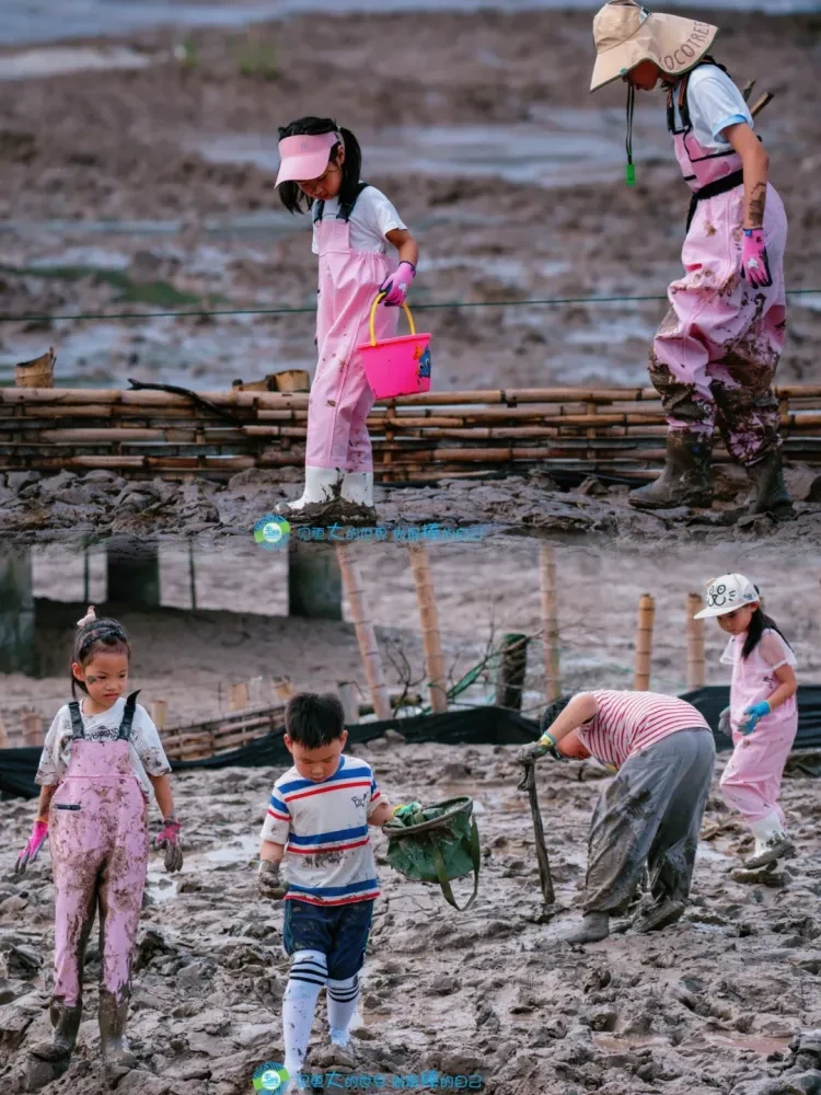 eb24f7fe41a63eb8b97be42a59ba12bb-sz_3414249