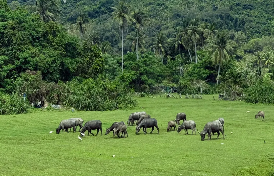 eb8fc295ea550cdfb8455aafb79bb8dd-sz_2552866