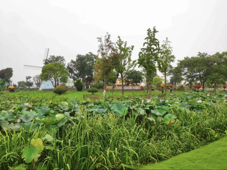 eba2e1224b72c01662a6b630a1d99eee-sz_1391381