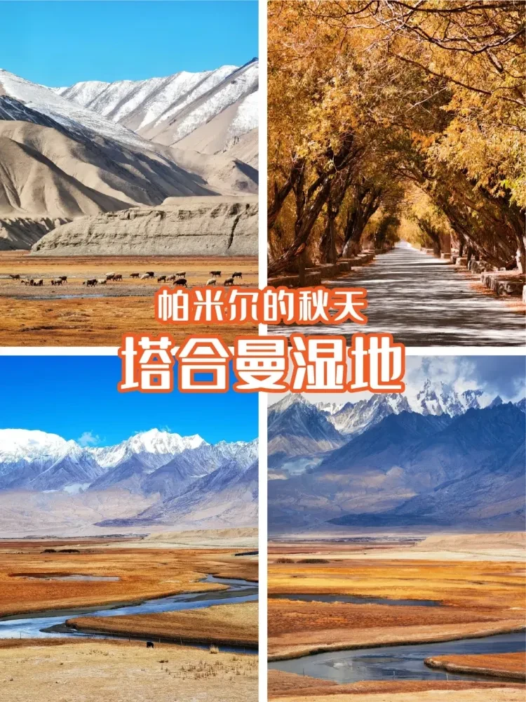 ec1e812edceb81dad6dab0789ce1dadc-sz_2725542