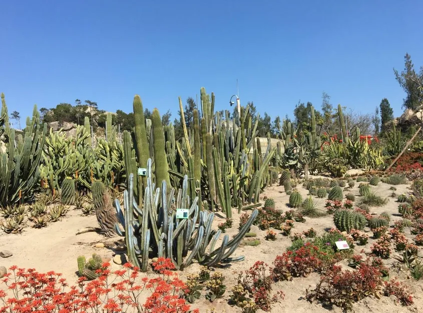 ec27a723153f91a57f40d823f40182bc-sz_1324393-2